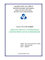Khảo sát tiền xử lý lõi bắp bằng enzyme trong sản xuất bioethanol