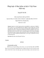 pháp luật về bảo hiểm xã hội ở việt nam hiện nay