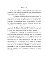 đánh giá khả năng hiện ảnh hình thái giải phẫu hệ động mạch vành và động mạch nón tròn hình ảnh chụp cắt lớp CT