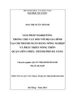 giải pháp marketing trong cho vay đối với hộ gia đình tại chi nhánh ngân hàng nông nghiệp và phát triển nông thôn quận liên chiểu, thành phố đà nẵng
