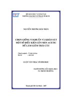 ĐỀ TÀI: Chọn giống vi khuẩn và khảo sát một số điều kiện lên men acetic để làm giấm trái cây