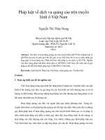 pháp luật về dịch vụ quảng cáo trên truyền hình ở việt nam