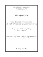 phân tích hiệu quả hoạt động của ngân hàng thương mại cổ phần đông á