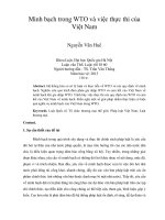 minh bạch trong wto và việc thực thi của việt nam
