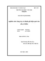 nghiên cứu răng trụ và đánh giá hiệu quả của cầu cổ điển