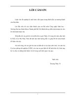 Khảo sát sự tạo huyền phù tế bào bắp cải tím (Brassica oleracea var. capitata f. rubra)