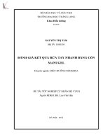 đánh giá kết quả rửa tay nhanh bằng cồn manugel