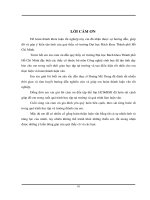 Khảo sát khả năng sản xuất cellulase ở một số chủng Trichoderma reesei sau xử lý đột biến