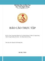 Thực Trạng Hoạt Động Cho Vay Khách Hàng Cá Nhân Tại Ngân Hàng thương mại cổ phần Công Thương Việt Nam  Chi Nhánh Hai Bà Trưng