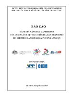 ĐÁNH GIÁ NĂNG LỰC CẠNH TRANH  CỦA CỤM NGÀNH DỆT MAY TRÊN ĐNA BÀN THÀNH PHỐ HỒ CHÍ MINH VÀ MỘT SỐ ĐNA PHƯƠNG LÂN CẬN