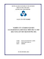 Nghiên cứu cố định nấm men saccharomyces cerevisiae trên mía và thử khả năng lên men dịch đường mía