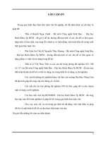 Bước đầu nghiên cứu sử dụng BC làm vật liệu kết dính