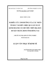 Nghiêu cứu ảnh hưởng của các nhân tố đầu vào đến hiệu quả sản xuất kinh doanh cây hồ tiêu trên địa bàn huyện Trảng Bom tỉnh Đồng Nai