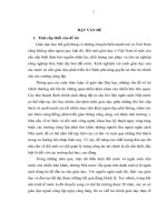 Một số giải pháp nhằm nâng cao quyền tự chủ tài chính của các Trường dạy nghề trực thuộc Bộ Nông nghiệp và Phát triển nông thôn