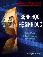 bệnh học hệ sinh dục