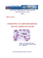 ảnh hưởng của biến đổi khí hậu - sự ứng phó và thích nghi ở bến tre