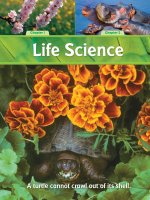 life science chapter 1