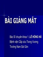 Bài giang  bệnh học mắt
