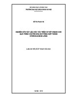 Nghiên cứu vật liệu xúc tác trên cơ sở coban cho quá trình chuyển hóa khí tổng hợp thành hydrocacbon lỏng