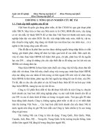 hoàn thiện quy trình thực hiện hợp đồng nhập khẩu hoá chất từ thị trường trung quốc của công ty cổ phần hoá chất 135 nguyễn văn cừ