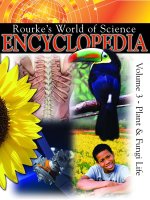encyclopedia plant and furgi life