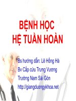 bệnh học hệ tuần hoàn