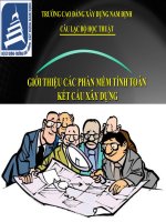 GIỚI THIỆU các PHẦN mềm TÍNH TOÁN kết cấu xây DỰNG