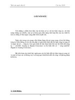 bài tiểu luận cao học tim hiểu về bộbieesns đổi tương tự số