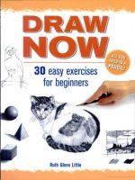 draw now easy exercises for beginners