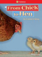 science from chick to hen