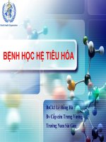 Bài   bệnh học hệ tiêu hóa