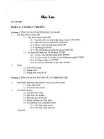 nghiên cứu các giao thức định tuyến dữ liệu trên mạng diện rộng