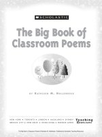 the big book of classroom poems