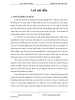 Báo cáo thực tập công ty Gạch Cẩm LÝ