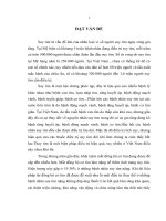 nghiên cứu vai trò của siêu âm dopple tim trong hướng dẫn lập trình tối ưu hoá máy tạo nhịp tim