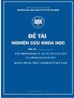 ĐỀ TÀI: Tài chính hành vi sự tự tin của CEO và chính sách cổ tức  bằng chứng thực nghiệm ở Việt Nam