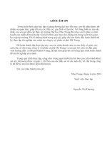 phân tích tình hình tài chính và chiến lược tài chính tại công ty cổ phần cà phê mê trang