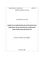 Nghiên cứu sự biến đổi một số chỉ số Doppler của động mạch trung tâm võng mạc ở bệnh nhân chấn thương đụng dập nhãn cầu