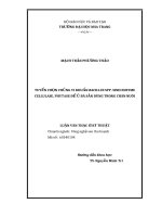 LUẬN văn THẠC sĩ TUYỂN CHỌN CHỦNG VI KHUẨN BACILLUS SPP  SINH ENZYME CELLULASE, PHYTASE để ủ bã sắn DÙNG TRONG CHĂN NUÔI