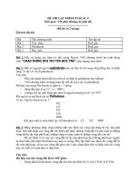 ĐỀ THI lập TRÌNH PASCAL 0