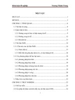 nghiên cứu chế tạo và tính chất của vật liệu từ nano fepd