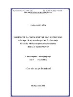 Nghiên cứu đặc điểm sinh vật học, sự phát sinh gây hại và biện pháp quản lý tổng hợp rầy nâu nhỏ Laodelphax striatellus (Fallén) hại lúa tại Hưng Yên  Trần Quyết Tâm.
