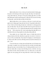 nghiên cứu giá trị của siêu âm trong chẩn đoán và điềutrị một số bệnh lý phần mềm bàn tay