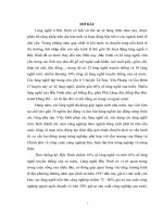 đánh giá hiện trạng môi trường đất, nước tại một số làng nghề trên địa bàn tỉnh bắc ninh và đề xuất giải pháp giảm thiểu ô nhiễm