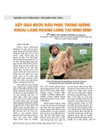 KẾT QUẢ bước đầu PHỤC TRÁNG GIỐNG KHOAI LANG HOÀNG LONG tại NINH bình