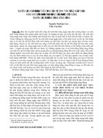 NGHIÊN cứu KHẢ NĂNG THÍCH ỨNG của hệ SINH THÁI RỪNG NGẬP mặn VÙNG VEN BIỂN dưới tác ĐỘNG của nước BIỂN DÂNG NGHIÊN cứu ở ĐỒNG BẰNG SÔNG HỒNG