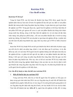 real time  pcr và các vấn đề cơ bản