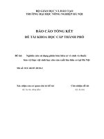 nghiên cứu sử dụng phân bón hữu cơ vi sinh và thuốc bảo vệ thực vật sinh học cho sản xuất lúa hữu cơ tại hà nội