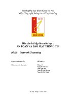 BÀI tập lớn môn học an toàn và bảo mật thông tin đề tài netwwork scanning