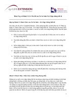 Phản ứng với hành vi có vấn đề của trẻ sơ sinh trẻ chập chững biết đi